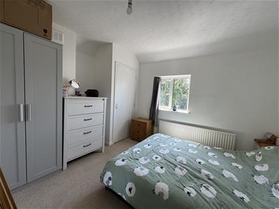 Picture 13
